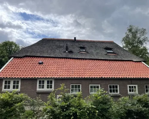 Dakreiniging Brummen (1)