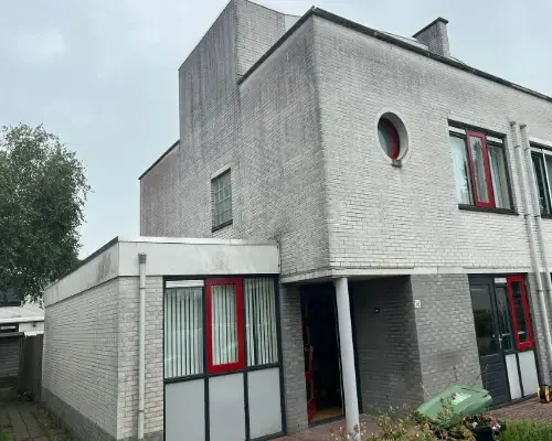 Gevelreinigen met Softwash (1)