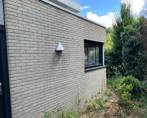 Gevelreiniging schimmel (2)